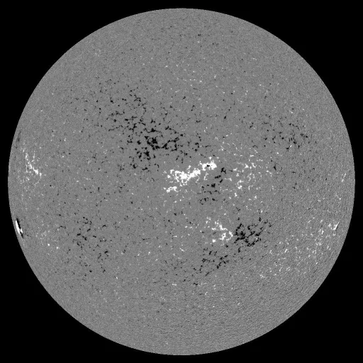Solar Magnetic Fields