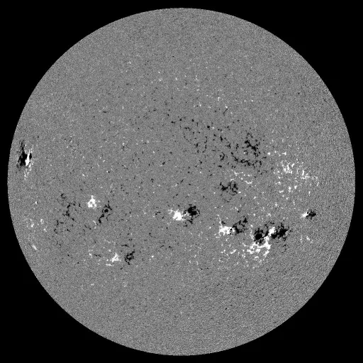 Solar Magnetic Fields