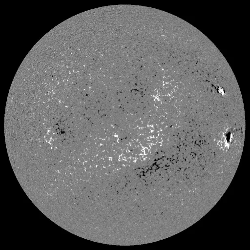 Solar Magnetic Fields