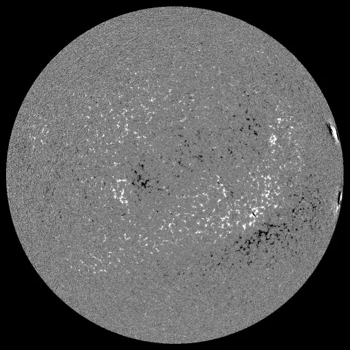 Solar Magnetic Fields