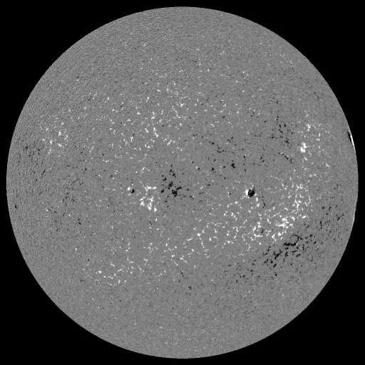 Solar Magnetic Fields