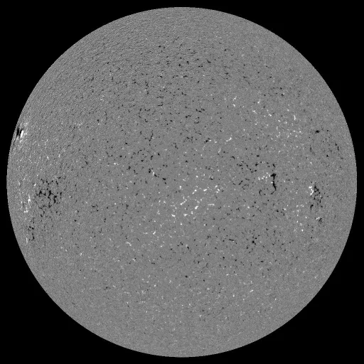 Solar Magnetic Fields