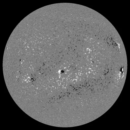 Solar Magnetic Fields