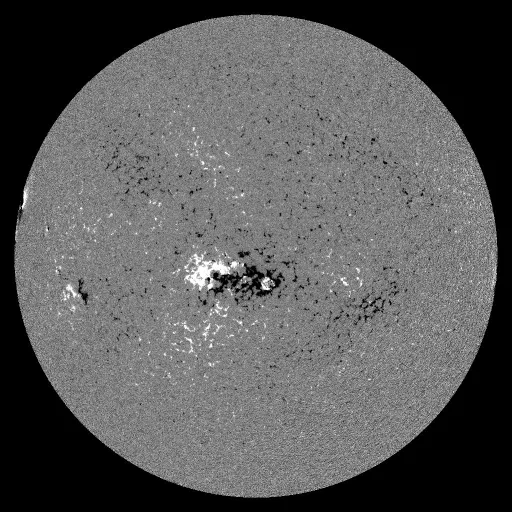 Solar Magnetic Fields