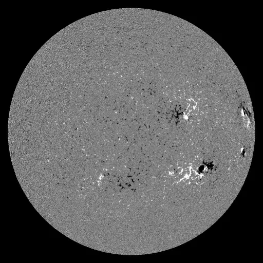 Solar Magnetic Fields