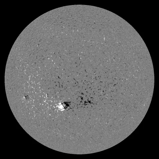 Solar Magnetic Fields