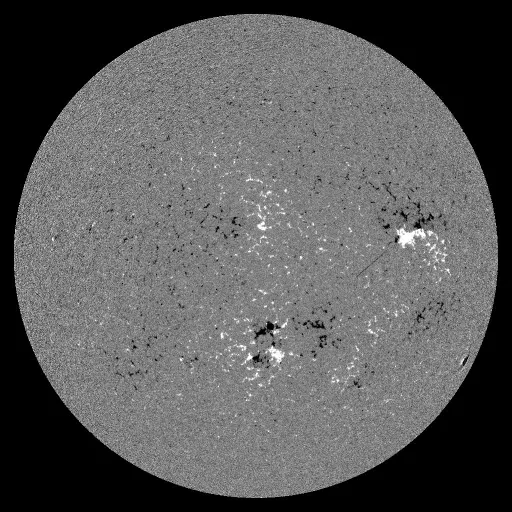Solar Magnetic Fields