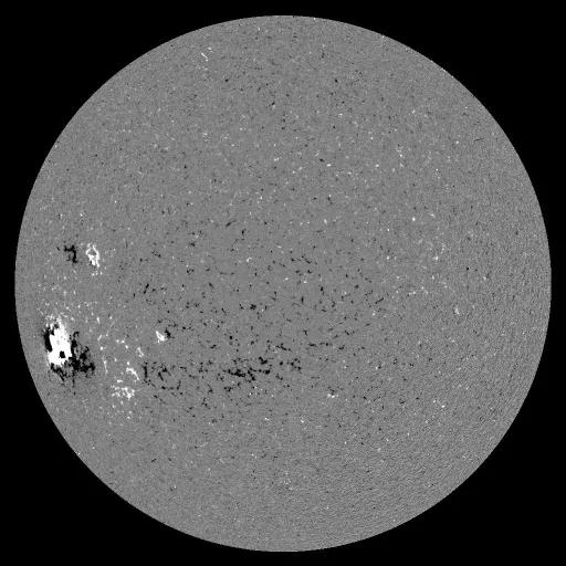 Solar Magnetic Fields