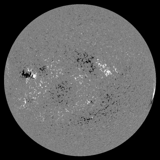 Solar Magnetic Fields