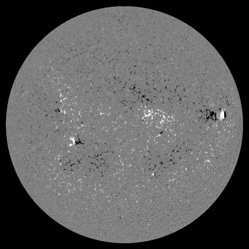Solar Magnetic Fields