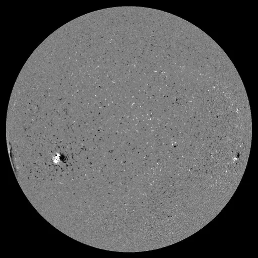 Solar Magnetic Fields