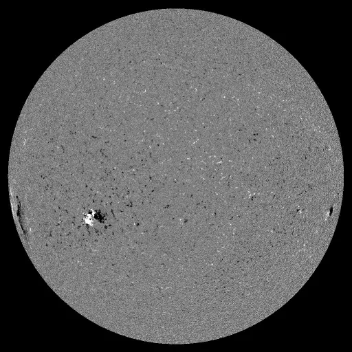 Solar Magnetic Fields