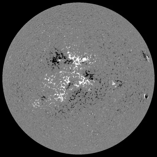Solar Magnetic Fields