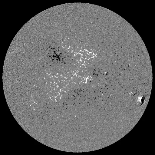 Solar Magnetic Fields