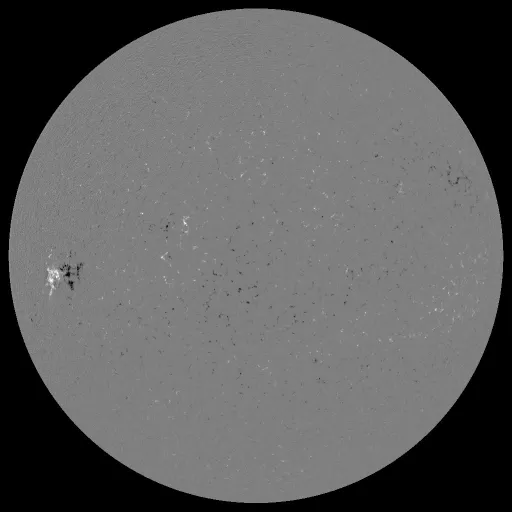 Solar Magnetic Fields