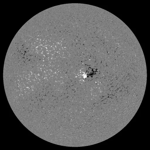 Solar Magnetic Fields