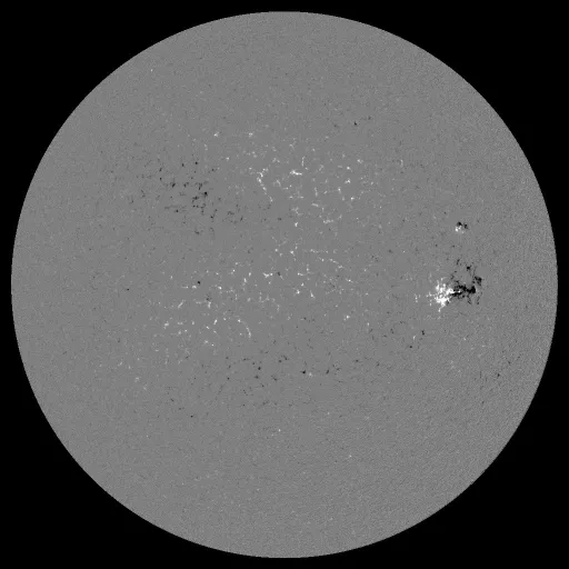 Solar Magnetic Fields