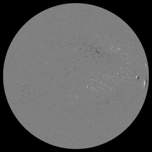 Solar Magnetic Fields