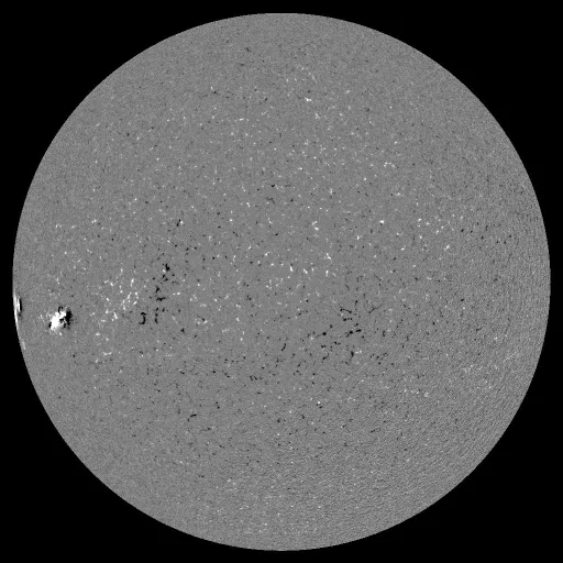 Solar Magnetic Fields