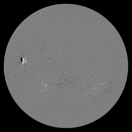 Solar Magnetic Fields