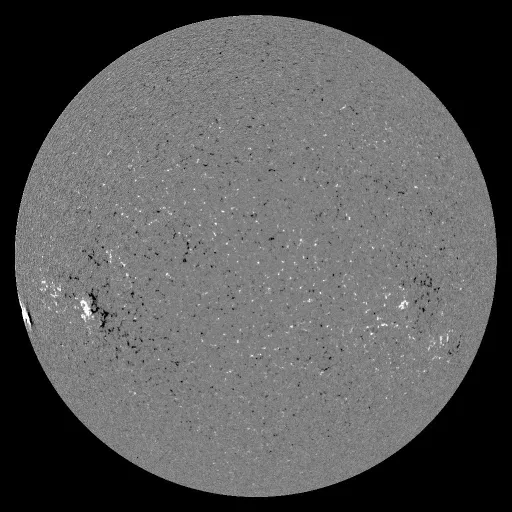 Solar Magnetic Fields