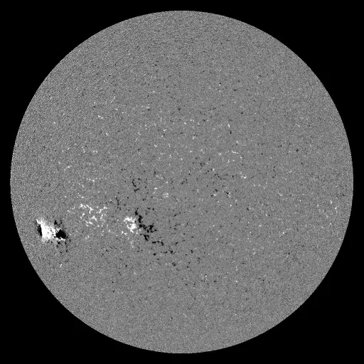 Solar Magnetic Fields