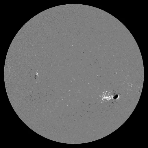 Solar Magnetic Fields