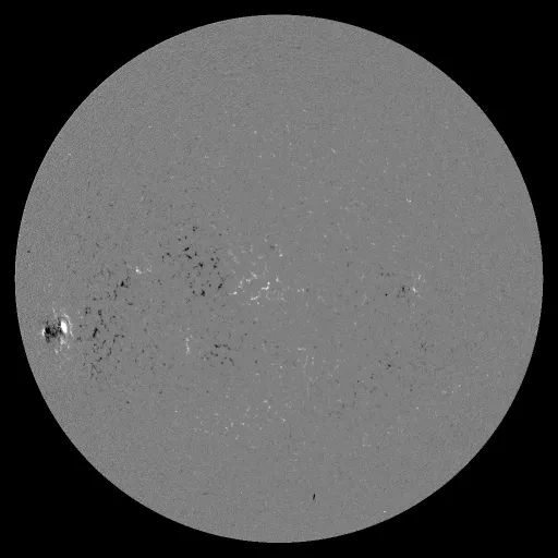 Solar Magnetic Fields