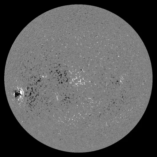 Solar Magnetic Fields