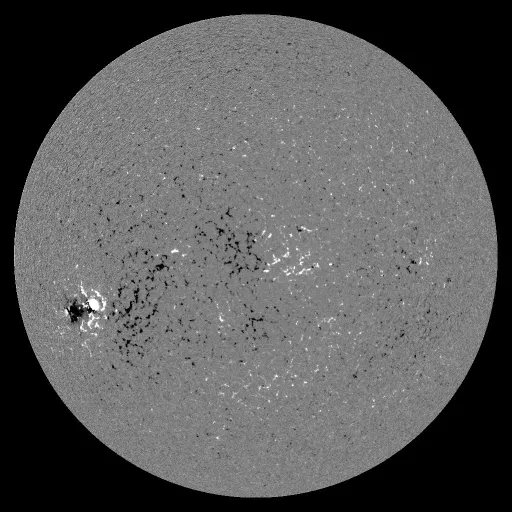 Solar Magnetic Fields