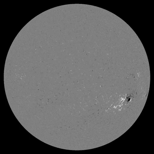 Solar Magnetic Fields