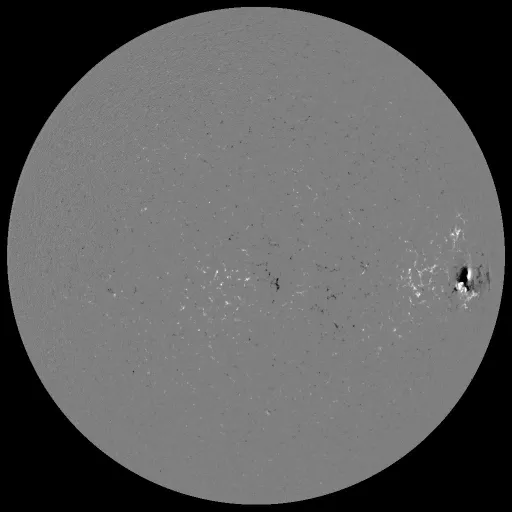 Solar Magnetic Fields