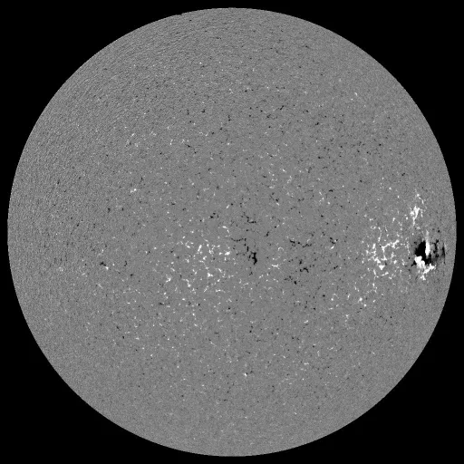 Solar Magnetic Fields