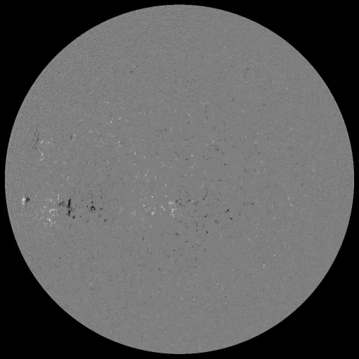 Solar Magnetic Fields