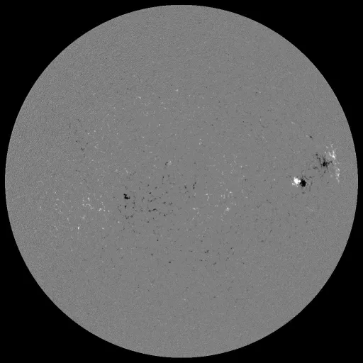 Solar Magnetic Fields