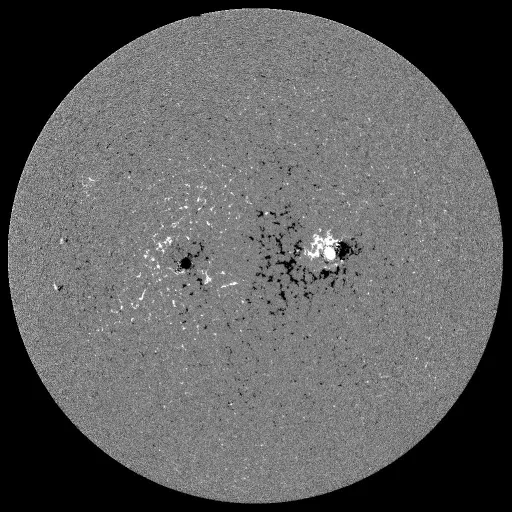 Solar Magnetic Fields