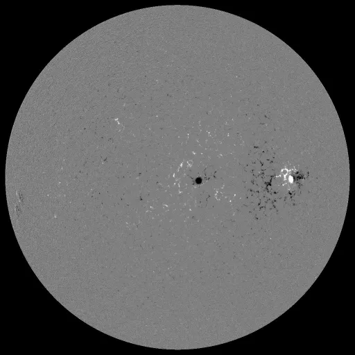Solar Magnetic Fields