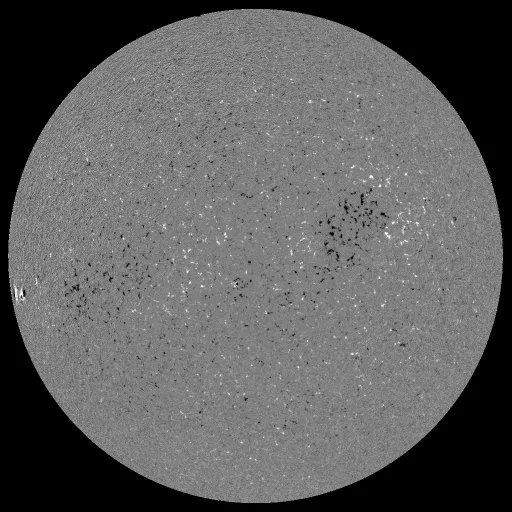 Solar Magnetic Fields