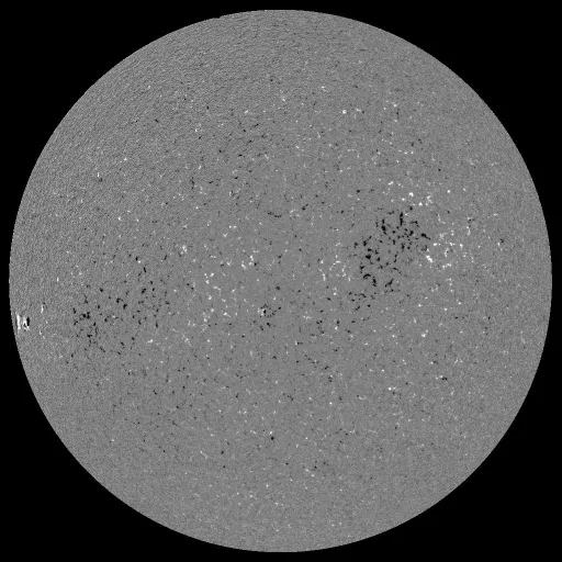 Solar Magnetic Fields