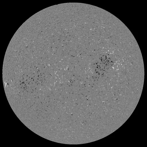 Solar Magnetic Fields