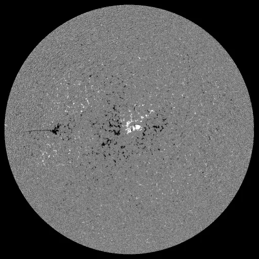 Solar Magnetic Fields