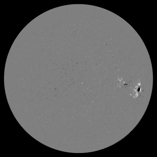 Solar Magnetic Fields