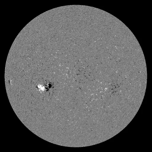 Solar Magnetic Fields