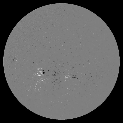 Solar Magnetic Fields