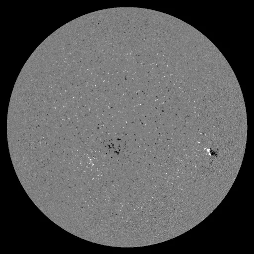 Solar Magnetic Fields