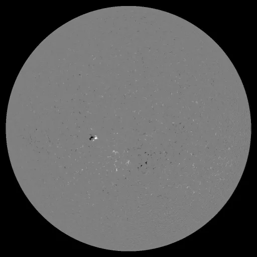 Solar Magnetic Fields