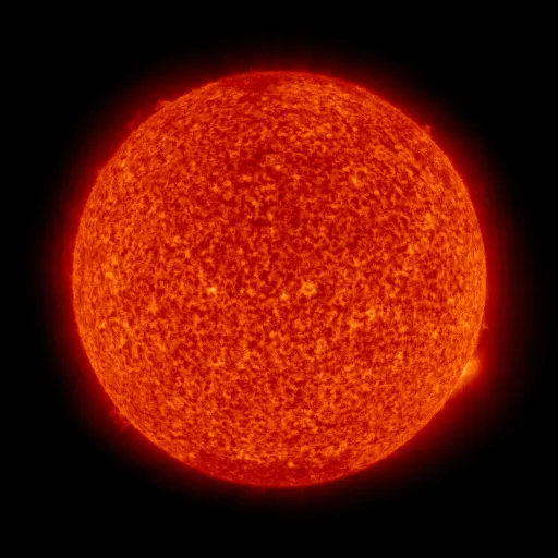 Solar transition region