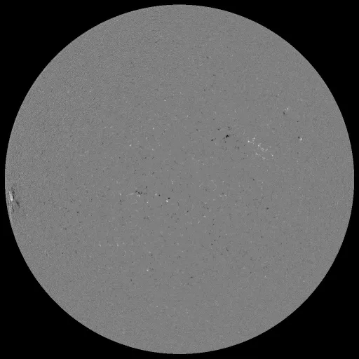Solar Magnetic Fields
