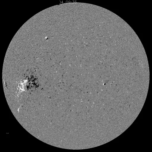 Solar Magnetic Fields