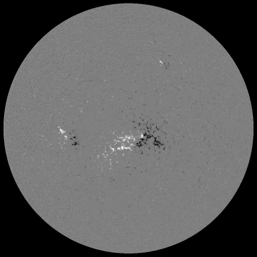Solar Magnetic Fields